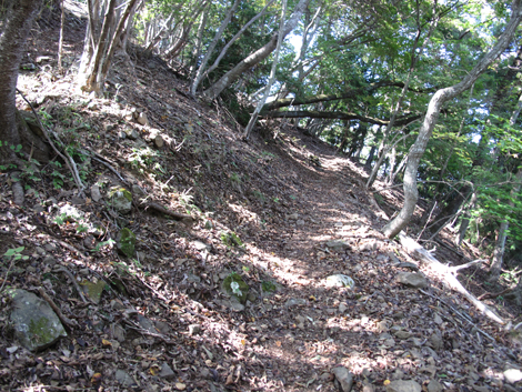 20151014hike (96)